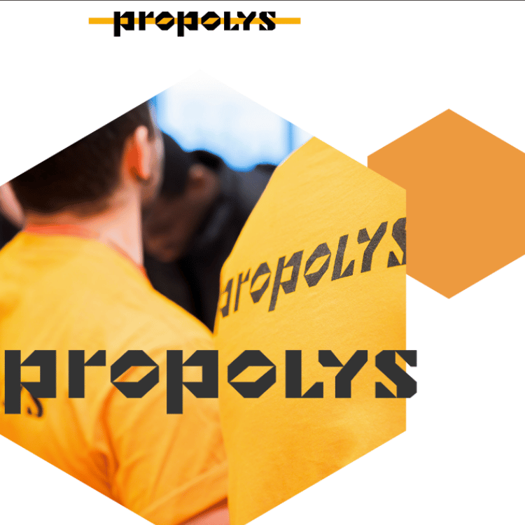 Un mini-site pour Propolys